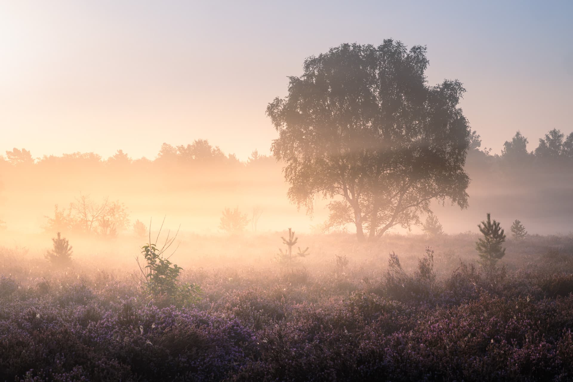Paysage campagne belge — photographie fine art