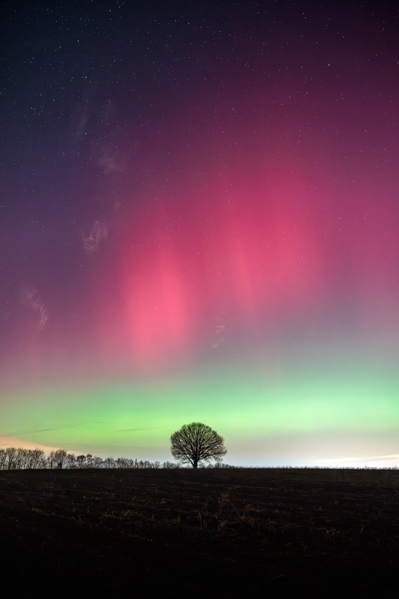 Lumière naturelle sur nature belge — Samuel Bouchoms