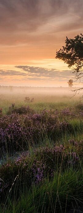 Gallery Masonry 2 Columns Contained
