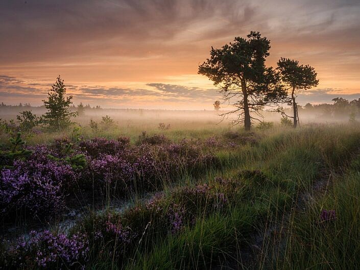 Gallery Masonry 2 Columns Contained